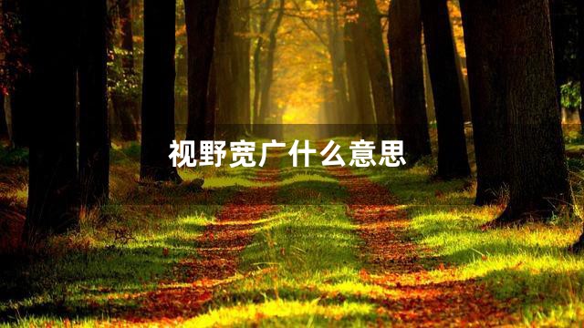 视野宽广什么意思