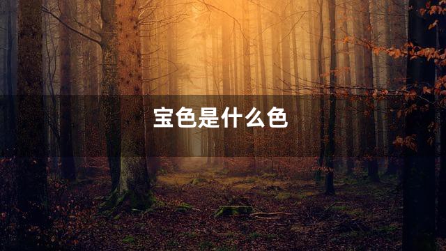 宝色是什么色
