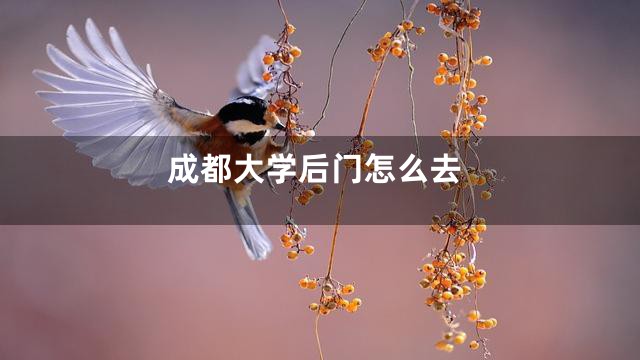 成都大学后门怎么去