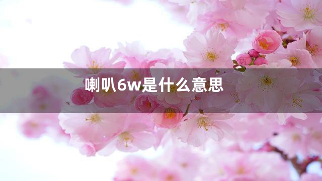 喇叭6w是什么意思