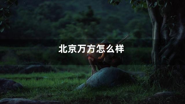 北京万方怎么样