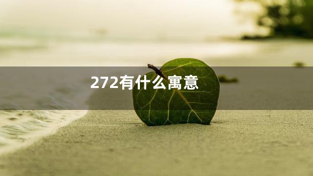 272有什么寓意
