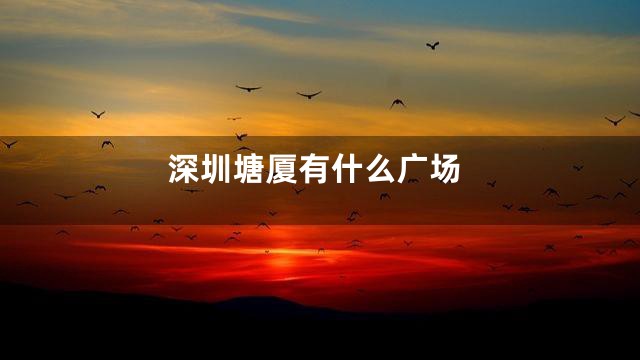深圳塘厦有什么广场