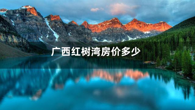 广西红树湾房价多少