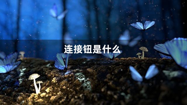 连接钮是什么
