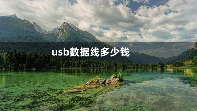 usb数据线多少钱