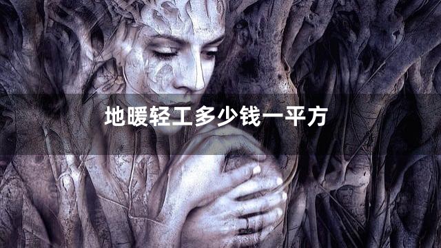 地暖轻工多少钱一平方