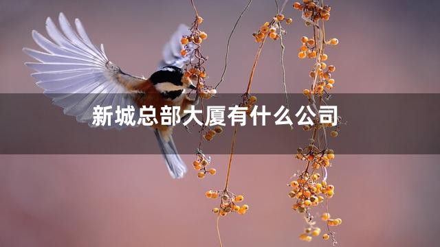 新城总部大厦有什么公司