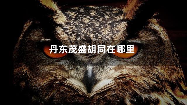 丹东茂盛胡同在哪里