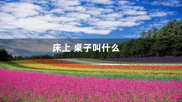 床上 桌子叫什么