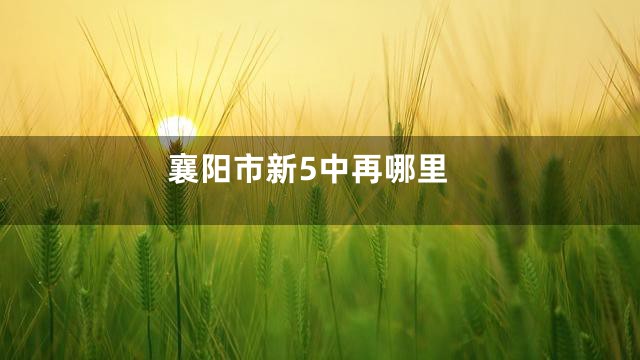 襄阳市新5中再哪里