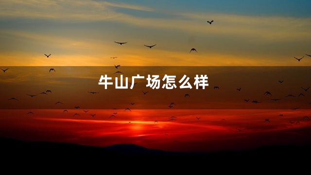 牛山广场怎么样