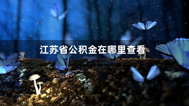 江苏省公积金在哪里查看
