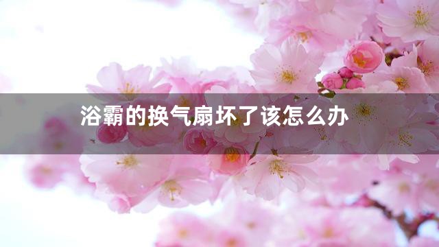 浴霸的换气扇坏了该怎么办
