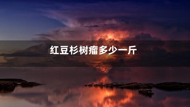 红豆杉树瘤多少一斤
