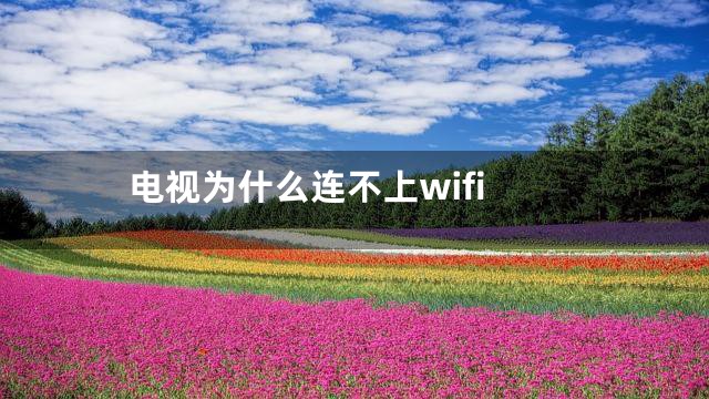 电视为什么连不上wifi