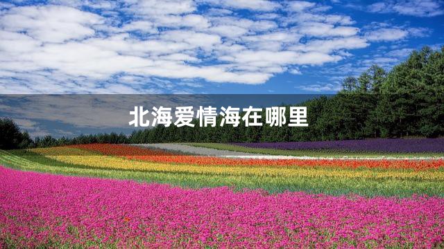 北海爱情海在哪里