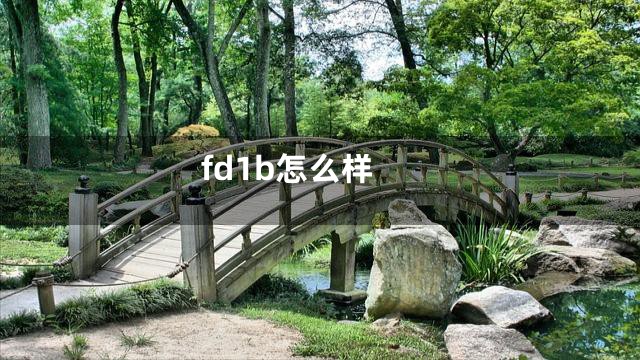 fd1b怎么样