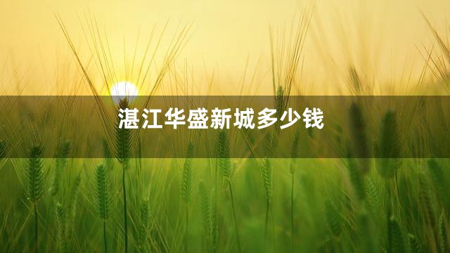 湛江华盛新城多少钱