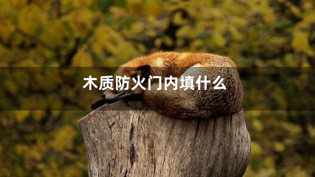 木质防火门内填什么