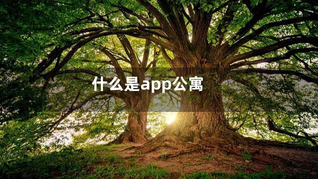 什么是app公寓