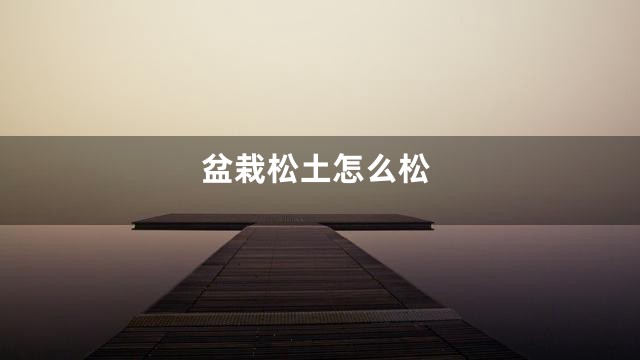盆栽松土怎么松