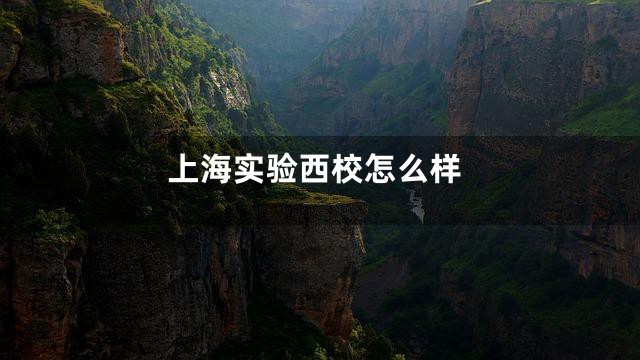 上海实验西校怎么样