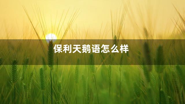 保利天鹅语怎么样