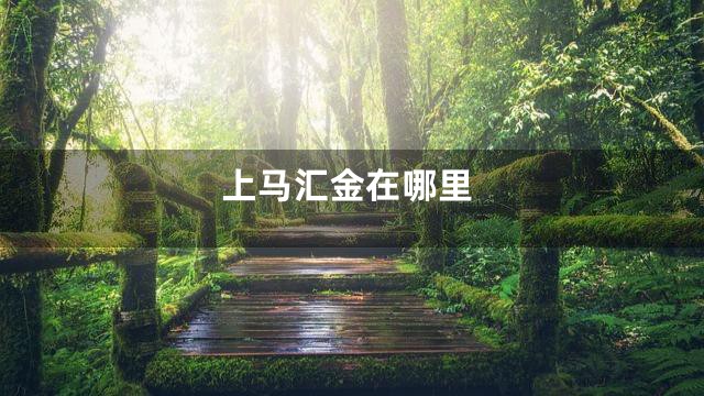 上马汇金在哪里