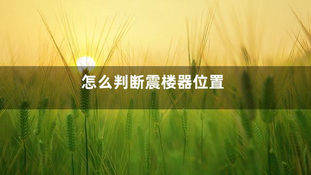 怎么判断震楼器位置