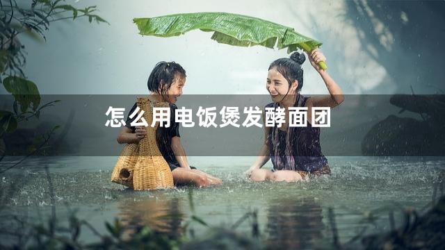 怎么用电饭煲发酵面团