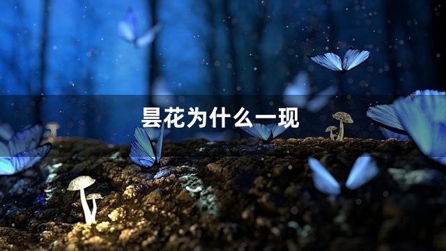 昙花为什么一现