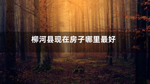 柳河县现在房子哪里最好