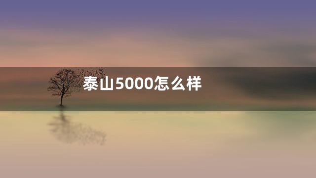 泰山5000怎么样