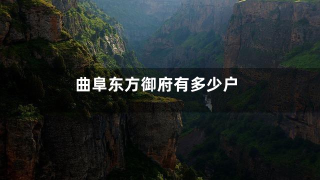 曲阜东方御府有多少户