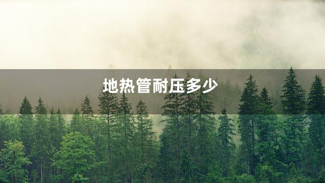 地热管耐压多少