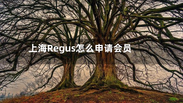 上海Regus怎么申请会员