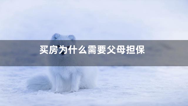 买房为什么需要父母担保