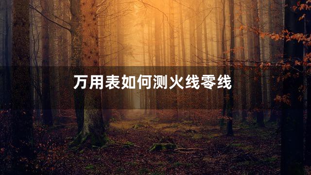 万用表如何测火线零线