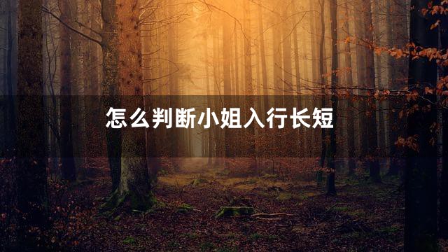 怎么判断小姐入行长短