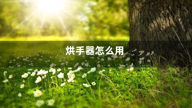 烘手器怎么用
