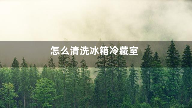 怎么清洗冰箱冷藏室