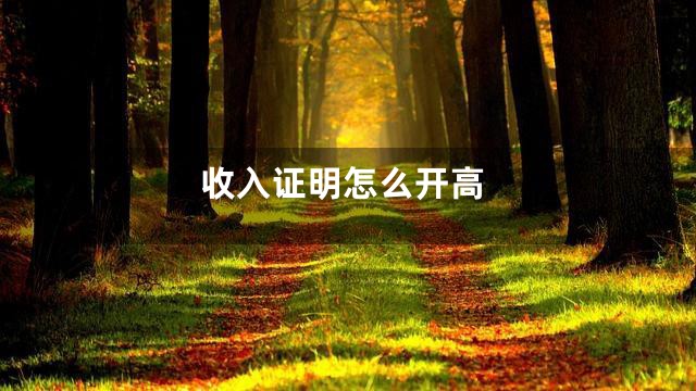 收入证明怎么开高