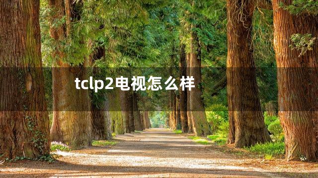 tclp2电视怎么样