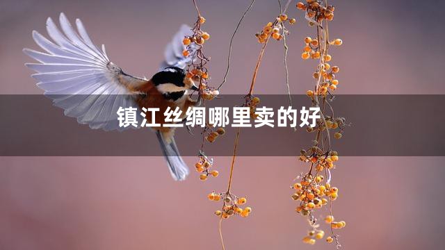 镇江丝绸哪里卖的好