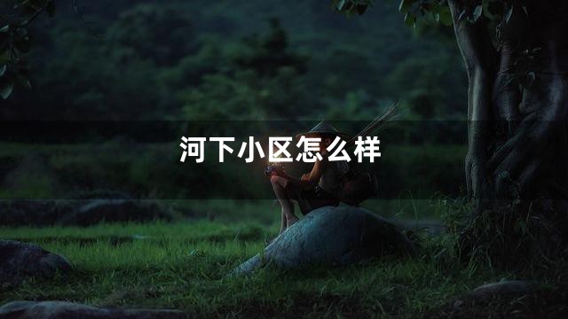河下小区怎么样