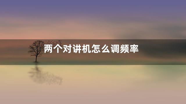 两个对讲机怎么调频率