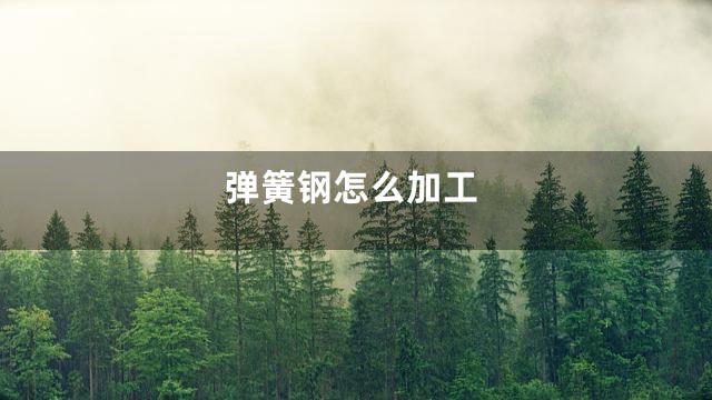 弹簧钢怎么加工