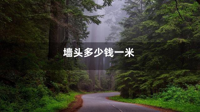 墙头多少钱一米