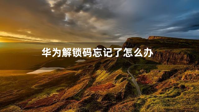 华为解锁码忘记了怎么办